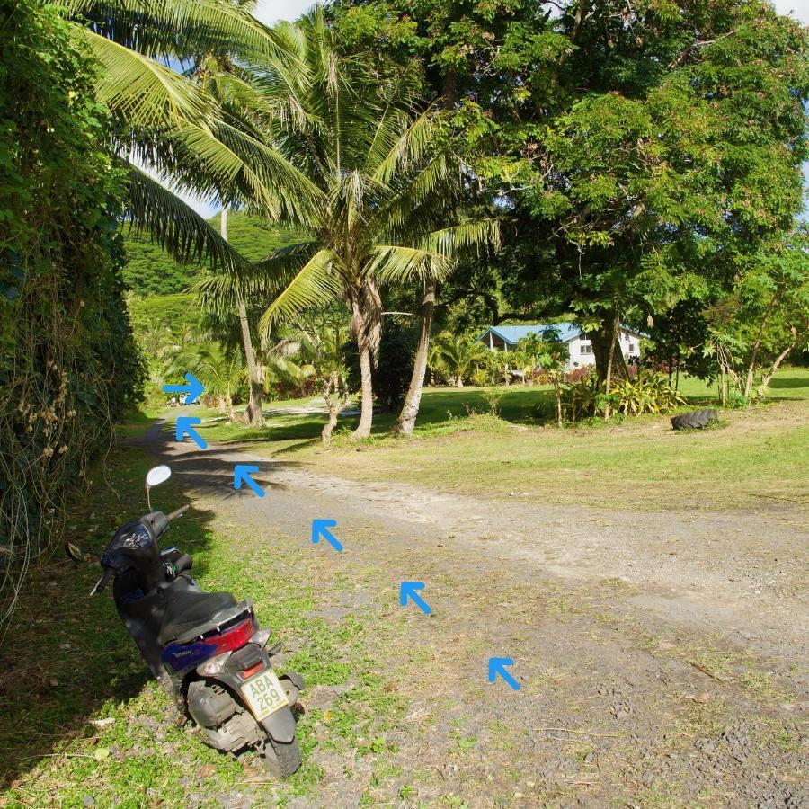 'Are Pepe One Bedroom Container Style Unit Rarotonga Extérieur photo
