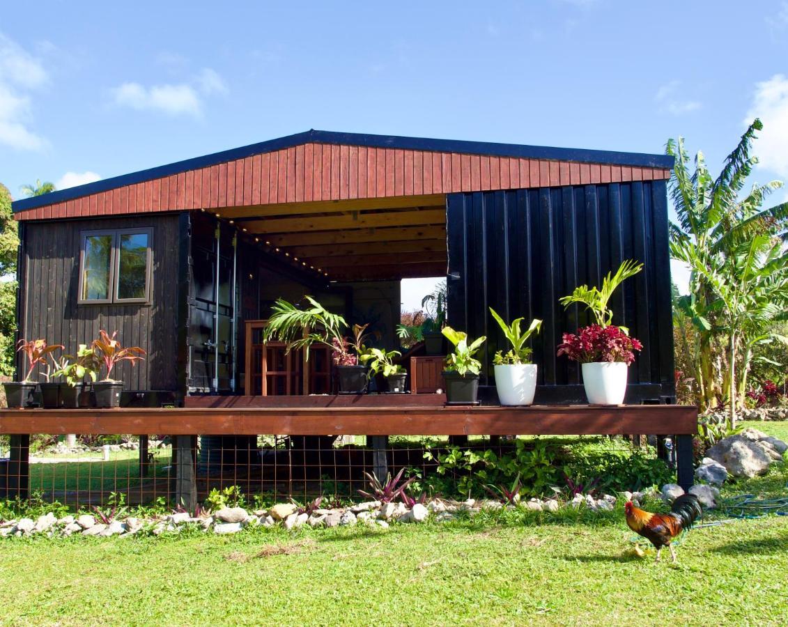 'Are Pepe One Bedroom Container Style Unit Rarotonga Extérieur photo